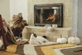 Cute cat relaxing on cozy rug at fireplace. Portrait of adorable kitty lying at warm fireplace with autumn decor and firewood