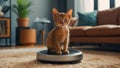 Cute cat, robot vacuum cleaner at home