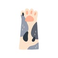 Cute cat s paw with soft tender pads. Feline animal s hand raised up, gesturing hi. Adorable funny foot of spotty kitty