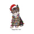Cute cat with Santa Claus hat and light bulb. Happy new year greeting card Royalty Free Stock Photo