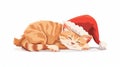 A cute cat in Santa hat, Christmas sticker design. Funny feline pet, sleeping kitty on winter holidays. Happy kitten Royalty Free Stock Photo