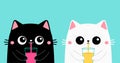 Cute cat set. Kitten drinks juice out of a glass cup. Black white kitten head face. Pink ears, cheeks. Kawaii cartoon funny baby