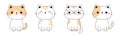 Cute cat set. Sitting kitten in glasses, sleeping, happy kitty. Funny kawaii smiling doodle animal. Face line contour silhouette