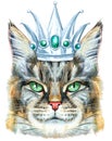 Lovely closeup portrait of Maine Coon cat in silver crown. Hand drawn water colour painting on white background