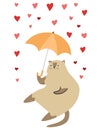 Cute cat sits with an umbrella and closes in a rain of hearts. Disgruntled Siamese cat.