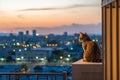 Cute cat sitting in a balcony looking over city skyline Generative Ai Royalty Free Stock Photo