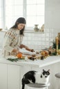 Cute cat sitting on chair on background of woman making christmas gingerbread cookies on wooden board with cooking spices, festive