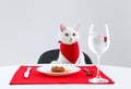 Cute cat sitting at served dining table