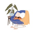 Cute cat sleeping in armchair at home. Feline animal dreaming, asleep in cosy comfortable chair. Adorable kitty lying