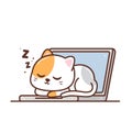 Cute cat sleeping in the laptop