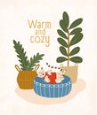 Cute cat sleeping on round ottoman, houseplants and Warm And Cozy slogan. Room with comfy furnishings, comfortable house