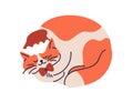 Cute cat sleeping in santa hat. Funny pet curled up, dreaming on winter holidays. Xmas feline animal asleep. Fat kitty