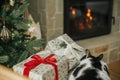 Cute cat sleeping on stylish gifts on modern chair, relaxing on background of burning fireplace and decorated christmas tree. Pet Royalty Free Stock Photo