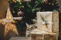 Cute cat smelling stylish christmas gifts at christmas tree with golden lights. Curious tabby kitty with wrapped presents under Royalty Free Stock Photo