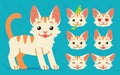 Cute cat standing. Vector illustration of happy kitty and its head sows different emotions on blue background. Emoji