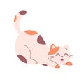Cute cat stretching and yawning. Domestic pets, feline activities. Home cat life. Vector illustration in flat style