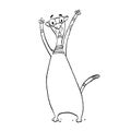 Cute Cat: surprised, astonished, amazed, dazed, shocked emotions. Set of kitty, doodle cartoon illustrations. As mascot