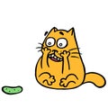 Cute cat turned and was frightened of the terrible cucumber. Vector illustration