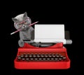 Cute cat is typing on a typewriter keyboard. Isolated on black