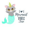 Cute cat with unicorn horn Royalty Free Stock Photo