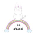 Cute cat unicorn sits on colorful rainbow. Royalty Free Stock Photo