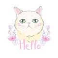 Cute cat vector design.Children illustration for School books and more.Meow slogan.