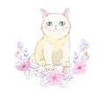 Cute cat vector design.Children illustration for School books and more.Meow slogan.