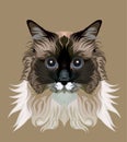 Cute cat vector Royalty Free Stock Photo