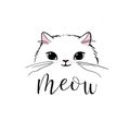 Cute cat vector print design. Meow lettering text. Kitten face vector background. Funny and cool smiling cartoon Royalty Free Stock Photo