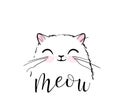 Cute cat vector print design. Meow lettering text. Kitten face vector background. Funny and cool smiling cartoon