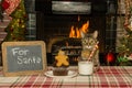 A cute cat waiting for Santa Royalty Free Stock Photo