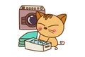 Cute Cat washing clothes.