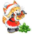 Cute cat. Watercolor funny cat and Christmas background