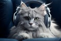 Cute Cat wearing headphone