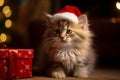 Cute cat wearing red sant christmas hat, christmas tree background. Royalty Free Stock Photo