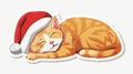 A cute cat wearing a Santa hat, sleeping on winter holidays. Cute kitten curled up. Flat graphic modern illustration on Royalty Free Stock Photo