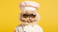 cute cat and a white chefs hat. persian peak nose cat wearing sunglasses chef uniforms generative ai