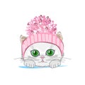 Cute cat in a winter hat with bubo Royalty Free Stock Photo