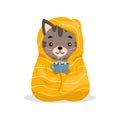 Cute cat wrapped in a blanket with hot coffee (cocoa) with marshmallows.