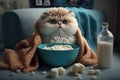 Cute cat, wrapped in fluffy blanket and warm hat sits on sand watches movie on smartphone, popcorn. Movie night, chilly winter