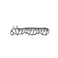 Cute caterpillar. Funny cartoon character Royalty Free Stock Photo