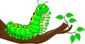 Cute caterpillar waving cartoon