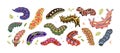 Cute caterpillars set. Funny larval insects, butterfly larva, worm, long centipede, slow grub. Spring and summer fauna