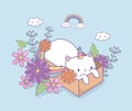 Cute caticorn with floral decoration in carton box