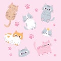 Cute cats adorable faces paws cartoon animal funny character background