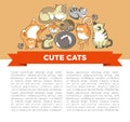 Cute cats with big eyes in sleepy or playful poses vector pets or domestic animals ginger and grey kittens with spots