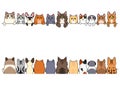 Various cute cats border set Royalty Free Stock Photo