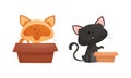 Cute cats in boxes set. Funny black and red cat sitting and playing with cardboard box cartoon vector illustration Royalty Free Stock Photo