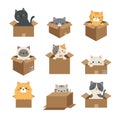 Cute Cats in Boxes Vector Illustration Set Royalty Free Stock Photo