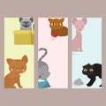 Cute cats cards character different pose funny animal domestic kitten vector illustration.